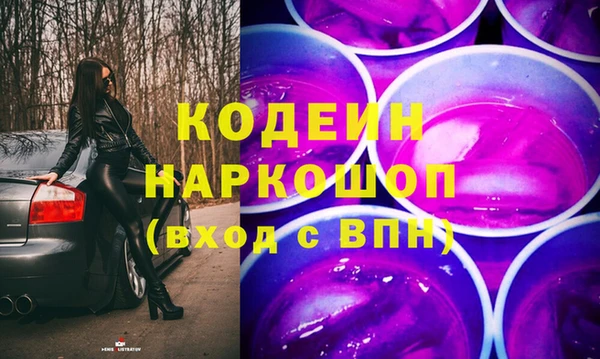 прущие грибы Алзамай