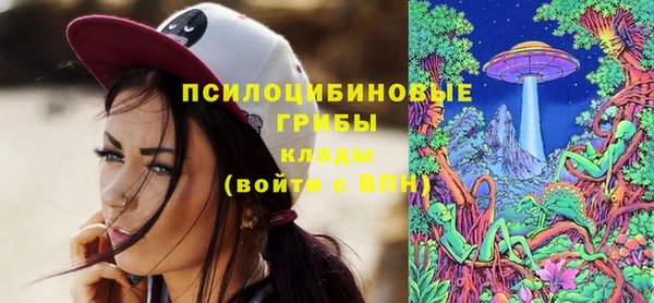 стафф Абаза