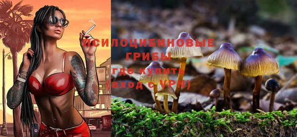 стафф Абаза