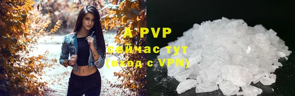 стафф Абаза